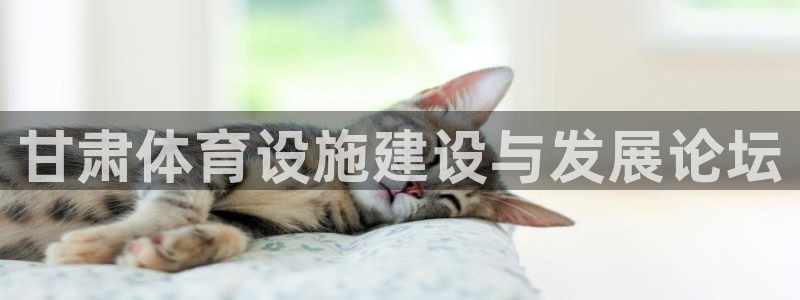 意昂体育4平台注册要钱吗安全吗：甘肃体育设施建设与发展论坛 